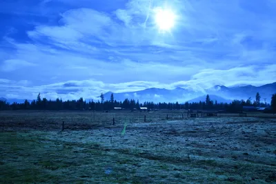 DSC_5824 (Large).JPG